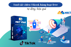 Tool tải video Tiktok hàng loạt free tự động, hiệu quả